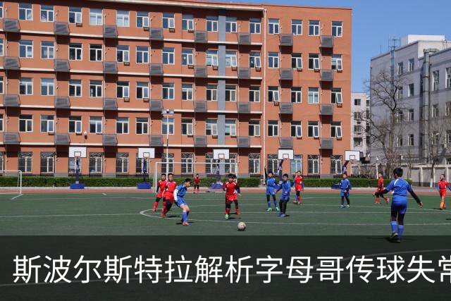 斯波尔斯特拉解析字母哥传球失常：未能奏效的战术体系