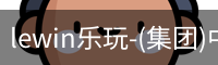 lewin乐玩-(集团)中国有限公司